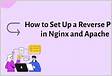 Setting up an Nginx Reverse Proxy Linuxiz
